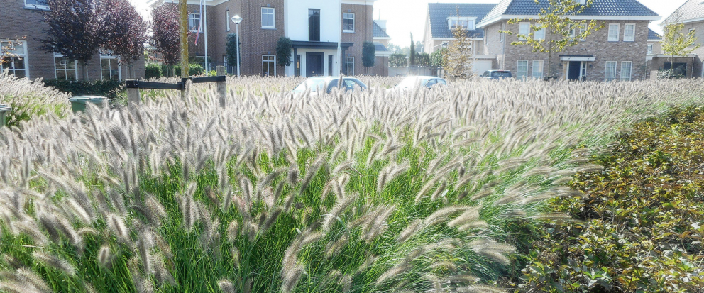 Tuinen Oost Bleiswijk Peter Verkade Landschapsarchitect