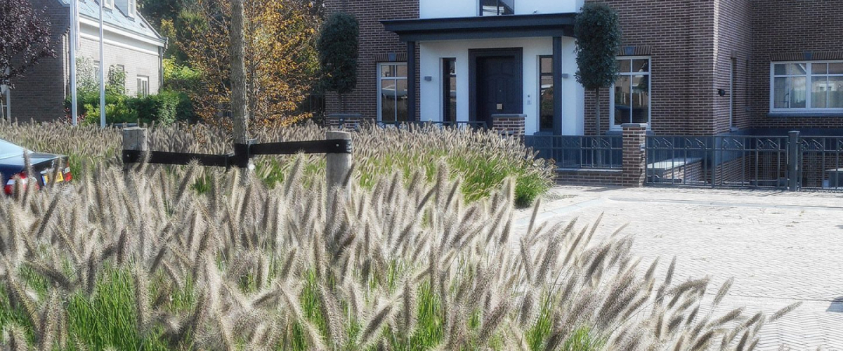 Tuinen Oost Bleiswijk Peter Verkade Landschapsarchitect