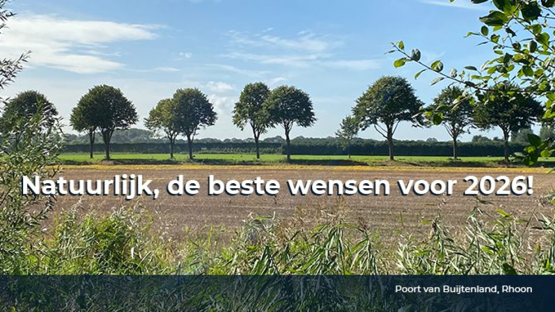 nieuwjaarsgroet 2026 format mail 5