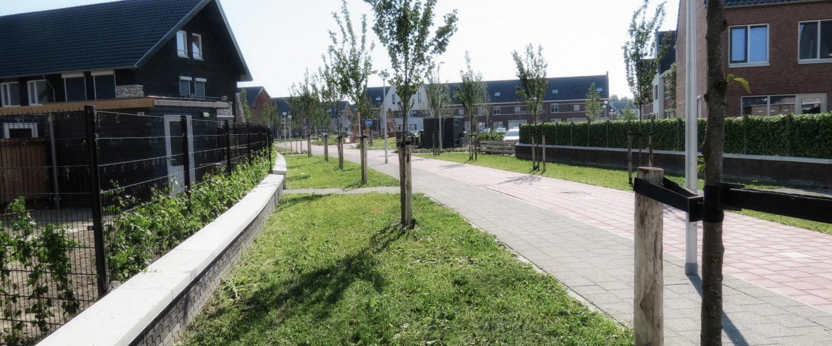 Tuinen Oost Bleiswijk Peter Verkade Landschapsarchitect