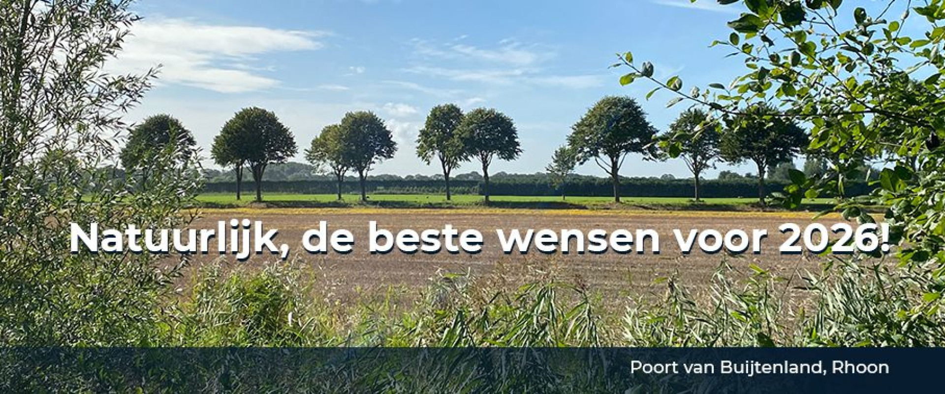 nieuwjaarsgroet 2026 format mail 4